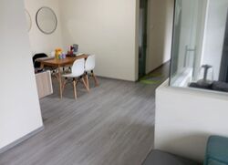 The Sunny Spring (D14), Apartment #519943801